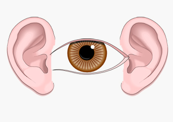 mnemonic image